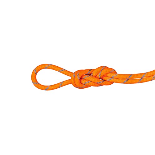 Mammut 8.7 Alpine Sender Dry Kletterseil