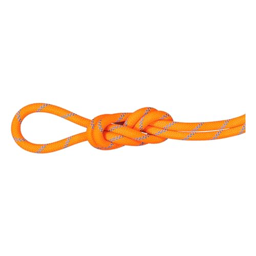 Mammut 8.7 Alpine Sender Dry Einfachseil