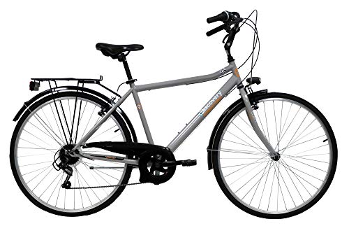 Discovery Denver Herren Trekkingrad Manhattan Herrenfahrrad (28 Zoll), Shimano 6 Gänge,...