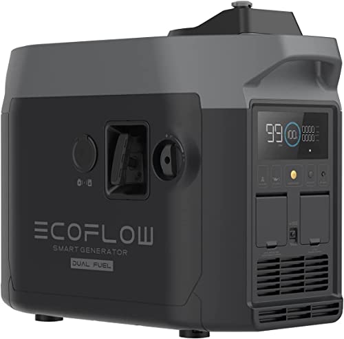 EF ECOFLOW Dual Smart Generator