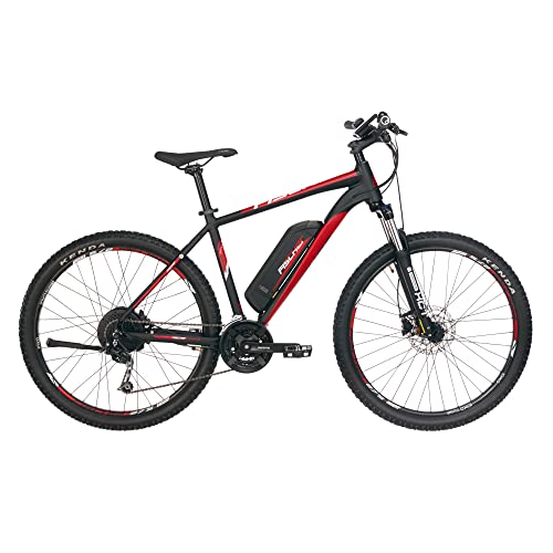 Fischer E-Mountainbike, MONTIS EM 1726 E-Bike MTB für Damen und Herren, RH 48 cm,...