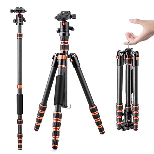 K&F Concept 152cm Carbon Stativ, Leichtes Tripod, Flexibles Kamera Stativ mit 360°...