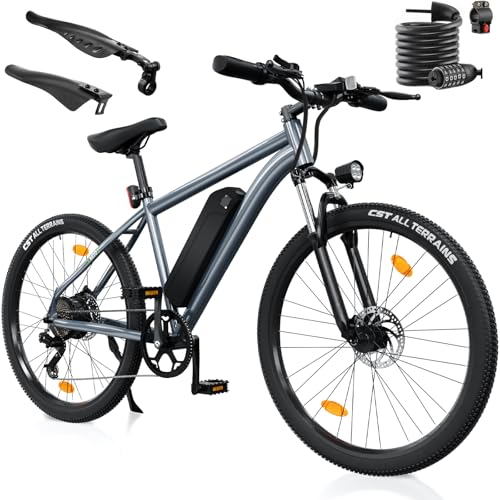 Finbike E Bike mit USB-Slot, 26' Elektrofahrrad Abnehmbarer 10400mAh Akku,7-Gang Pro,3.5H...