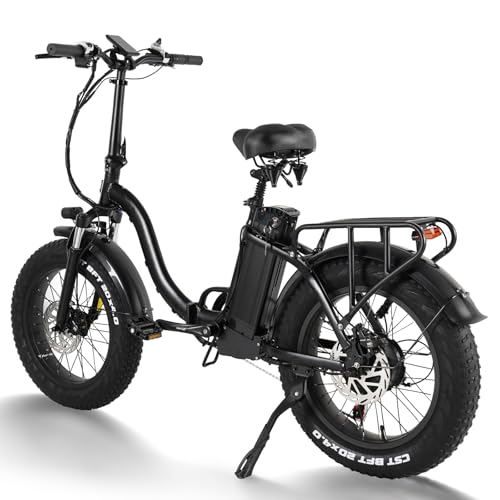 HANEVEAR Y20Plus E Bike Klapprad Elektrofahrrad mit 24Ah Li-Ion Akku, E Bike Herren 250W...