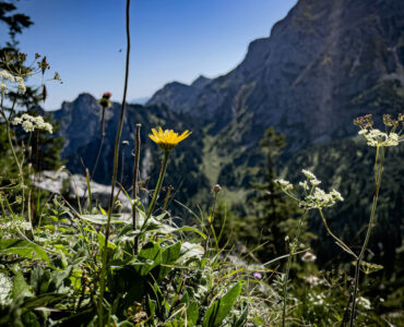 Beitragsbild-Ausflugsziele-Allgaeu