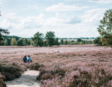 Beitragsbild-Ausflugsziele-Lueneburger-Heide