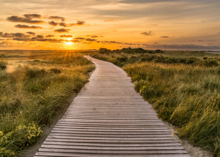 Insel-Borkum4