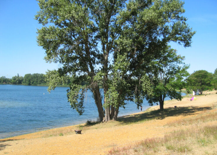 campingplatz-erholungszentrum-jerselber-see-6